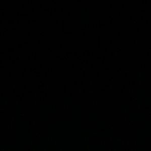 Meet your Posher, Jazmin